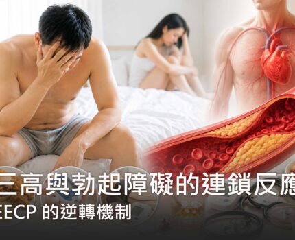 血管的求救訊號：三高與勃起障礙的連鎖反應及 EECP 的逆轉機制